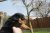 Offspring M